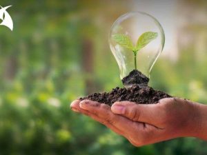 Curso Gestión ambiental y manejo del SUIA