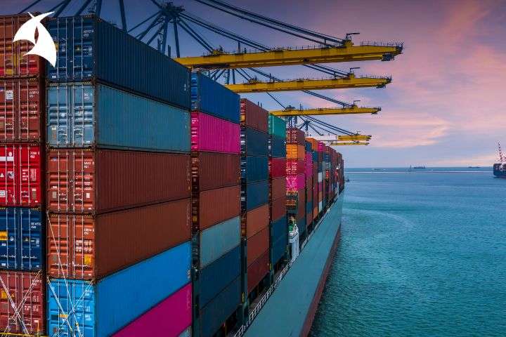 Curso Importaciones desde CERO