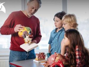 Curso Metodologías Innovadoras para la Educación