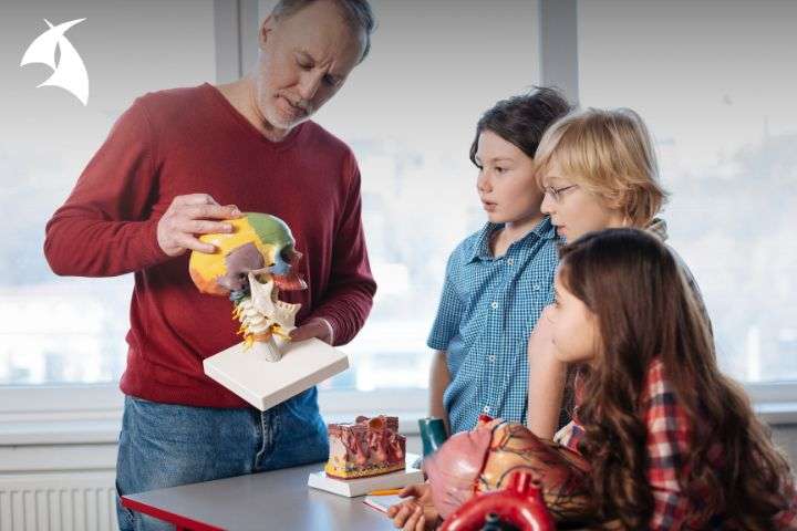 Curso Metodologías Innovadoras para la Educación